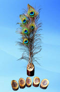Handcrafted Wooden Peacock Feather Stand for Home & Office Décor