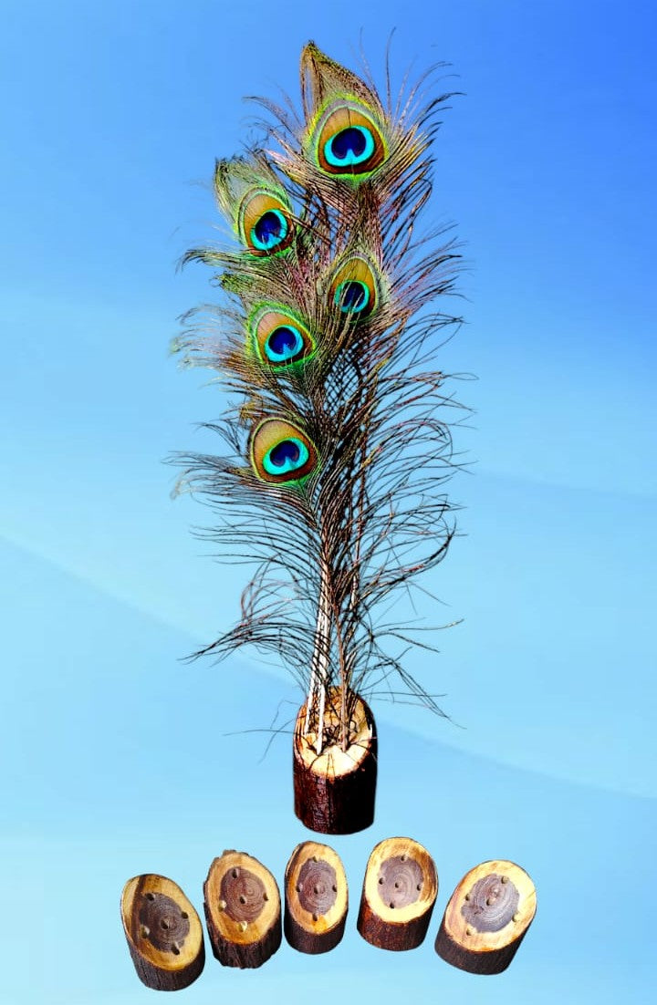 Handcrafted Wooden Peacock Feather Stand for Home & Office Décor