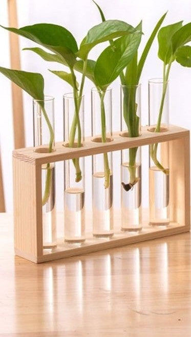 Wooden Test Tube Plant Vase Stand