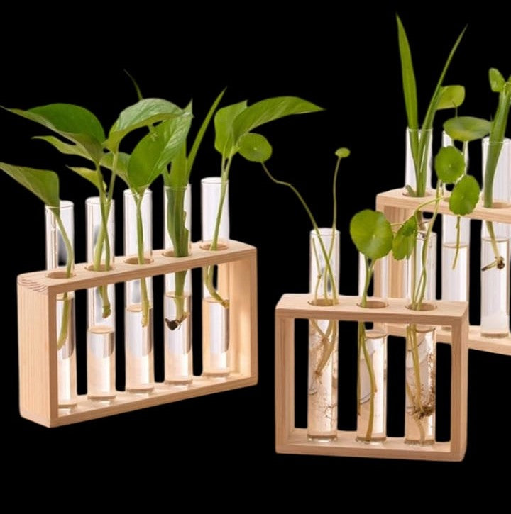 Wooden Test Tube Plant Vase Stand